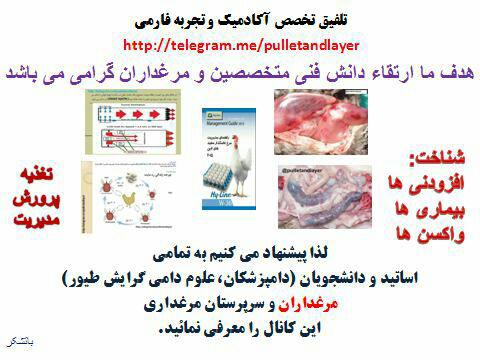 Poultry teaching materials