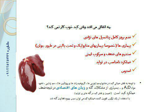 اهمیت کبد مرغ